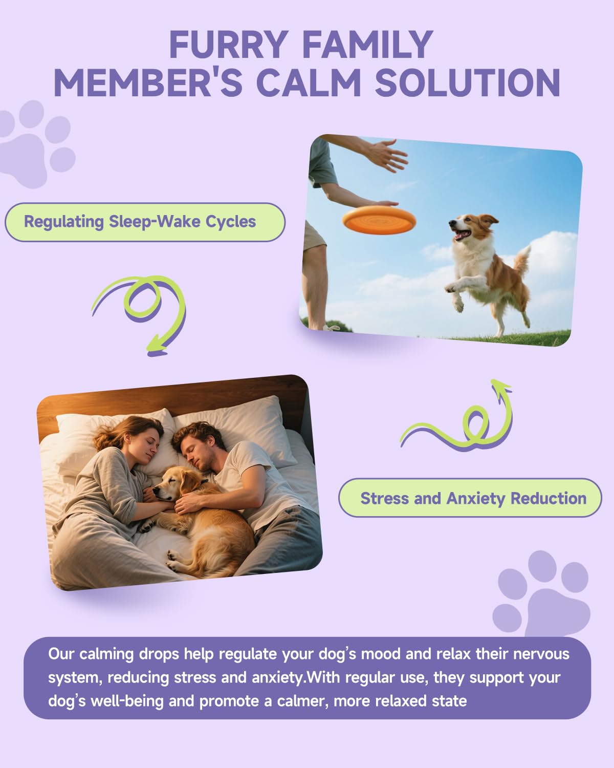 Dog Calming Drop – Anxiety Stress Relief for Dogs,Separation, Fireworks, Storm,Thunder Anxiety Support,Sleep Aid Dog Calming Supplement, GABA, L-Tryptophan, L-Theanine, Chamomile 60ML Calming for Dogs