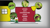 Compare-N-Save Concentrate Indoor and Outdoor Insect Control, 16-Ounce