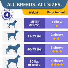 Load image into Gallery viewer, WONTECHMI Probiotics for Dogs, Improve Itchy Skin Itchy Ears, Gut Health, Yeast Balance, Allergies, Immunity, Dog Probiotics and Digestive Enzymes with Prebiotics, Reduce Diarrhea (Chicken, 120 chews)
