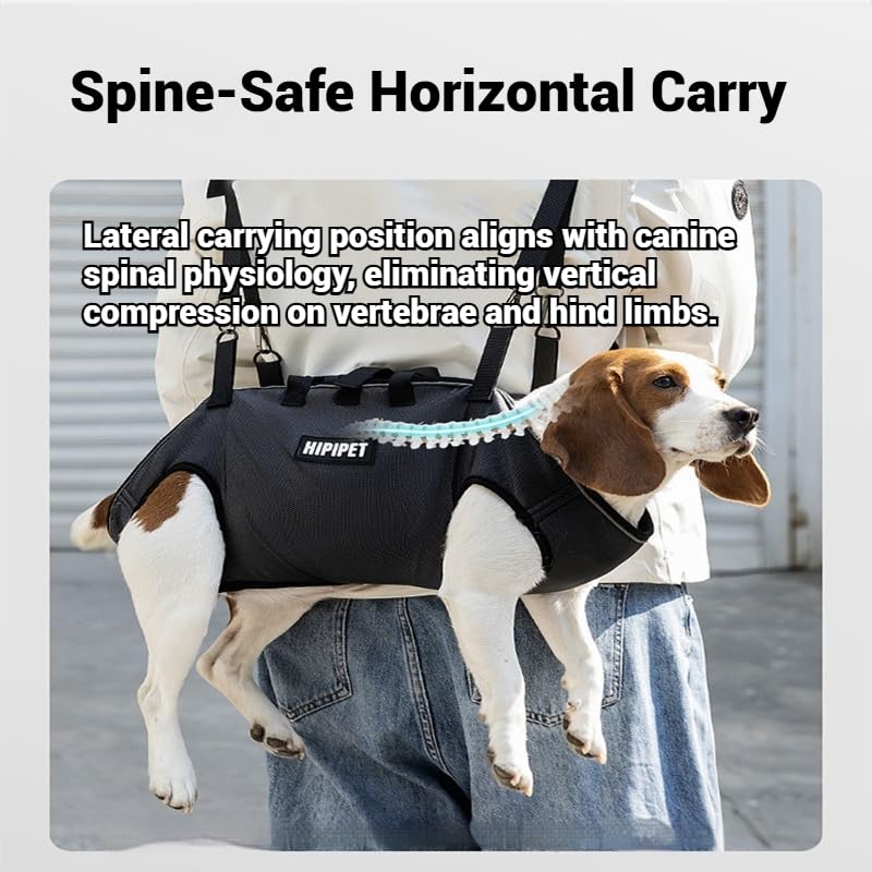 4-in-1 Convertible Pet Carrier for 14-20 lbs Dogs & Cats - Breathable Air Mesh Backpack Harness with Spine Protection | Adjustable Sling, Shoulder Bag & Handheld | Black-L