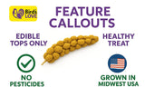 5lbs Economy & Special Spray Millet for Birds – GMO-Free, No Stems (Only Edible Tops) – 100% Natural Sun-Dried Foraging Treat for Cockatiels, Lovebirds, Parakeets, Finches & Canaries