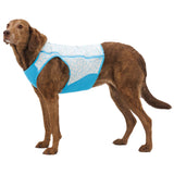 Ruffwear, Swamp Cooler Zip Dog Vest, Evaporative Cooling for Hot Weather, Graphite Gray, XX-Small