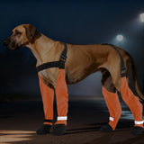 SeranPup S Adjustable Dog Suspender Boots & Hiking Shoes, Waterproof Winter Snow Gear Boots with Anti-Slip Sole, Reflective Snowsuit Design That Helps Stay On for Cold Weather Adventures