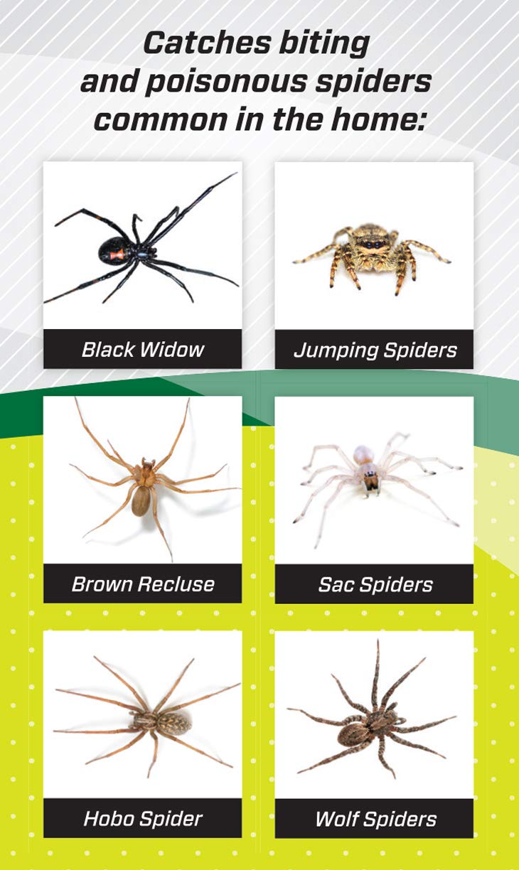 RESCUE! Spider Traps – Catches Brown Recluse, Hobo Spiders, Black Widows & Wolf Spiders - 3 Pack (9 Traps)