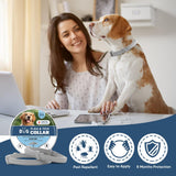 NJKPUYT Flea Collar for Dogs, Tick Collars for Dogs, Dog Fleas Collar, 8-Month Protection,Safe Repellent for Fleas, Ticks & Mosquitoes,Fits Small, Medium & Large Dog-2P