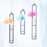 AODERUM Hanging Glass Planter Water Iron Art Hydroponic Vase Transparent Test Tube Flower Hanging Bottle Home Decoration (3pcs-S,M,L)