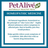 PetAlive ComfyPet Pain Relief for Dogs & Cats – Natural Homeopathic Supplement for Pet Joint & Mobility Support – 2 fl oz Drops – Made in USA