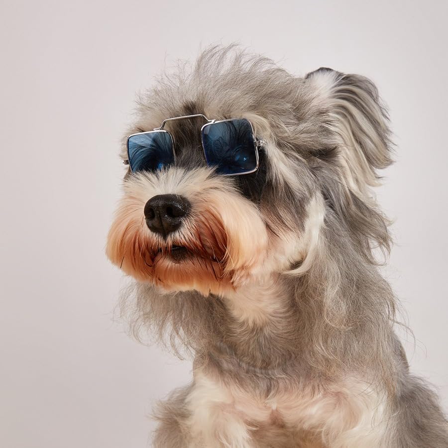 BAIRUYAO 5PCS Cat Dog Sunglasses Classic Retro Pet Glasses，UV Protection Trendy Cute Hip-hop Funny Pet Glasses for Cosplay Costume Photos Props Road Trip Christmas