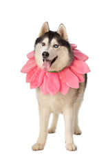 ComfyCamper Dog Pink Flower Neckpiece Costume - XS Small Medium XL XXL Bee Daisy Cosplay Halloween Costumes, S