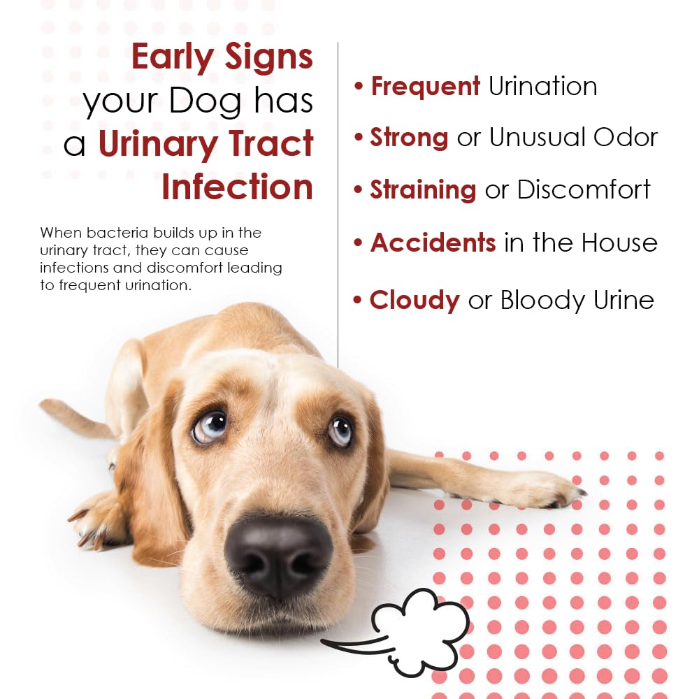 Cranberry D-Mannose Urinary Tract Supplement for Dogs & Cats – Bladder & UTI Health Support – Cranberry Extract, D-Mannose & Vitamin C–Promotes Urinary Wellness & Kidney Function – 60 Chewable Tablets
