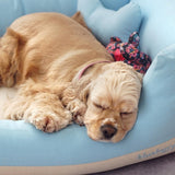 Blueberry Pet Fully Removable Washable Dog Bed, Heavy Duty Pet Bed w/Durable YKK Zippers, 25" x 21" x 10", 6 Lbs, Baby Blue & Beige Color-Block Beds for Cats & Dogs