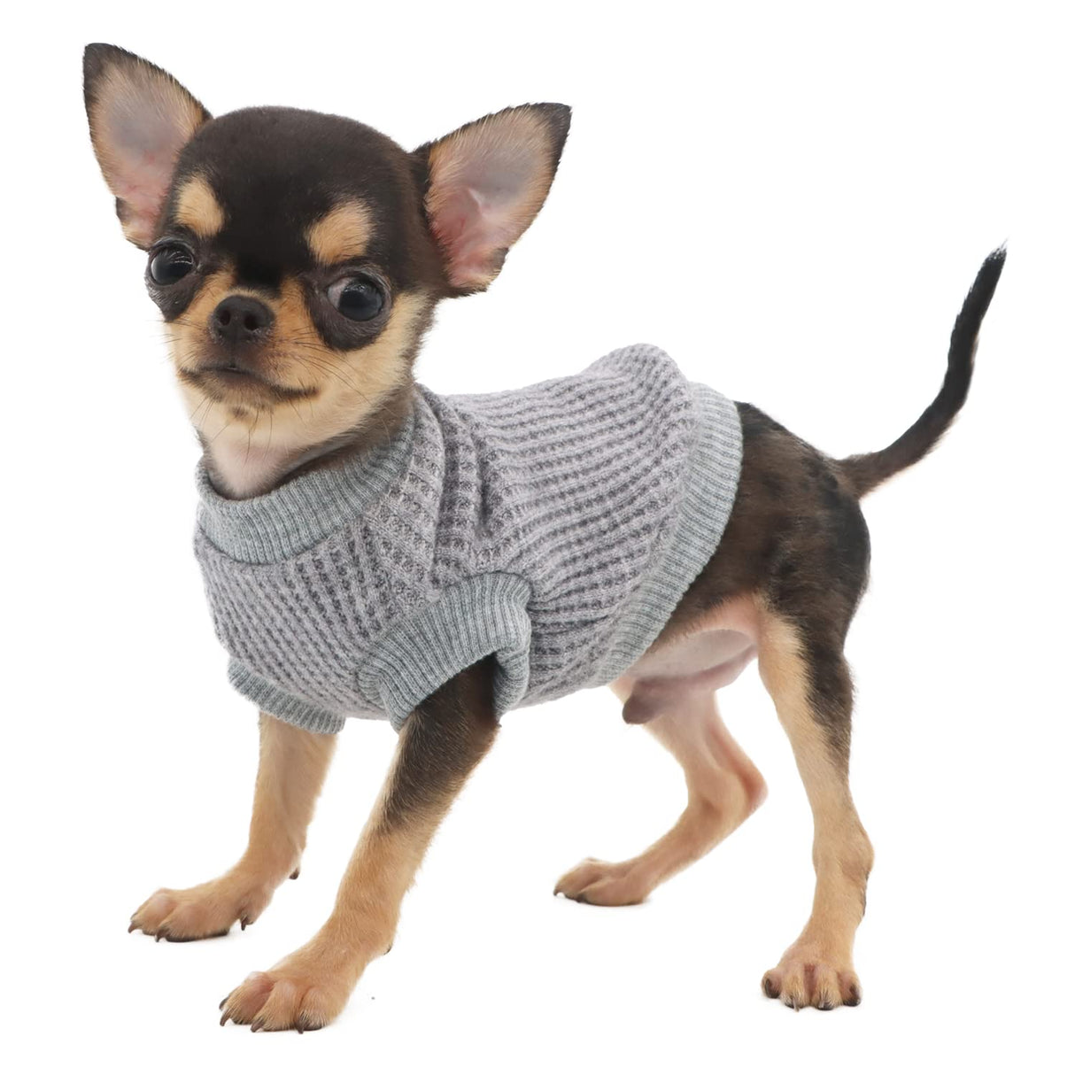 LOPHIPETS Lightweight Dog Sweaters for Puppy Small Dogs Puppy Chihuahua Yorkie Clothes-Gray/XXS