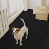 Drydiet PVC Pet Crate Floor Protection Mat 29" X 44" XXL Washable Floor Covering Reusable Waterproof Non Slip Rug Whelping Pad for Pet