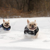 Weewooday 4 Pieces Winter Fabric Dog Sweaters with Leash Ring Soft Fleece Vest Pullover Pet Jacket Warm Dog Clothes Coats for Pet Puppy Cats Chihuahua(XXXL(Neck:17.7-18.9” Chest:25.6-26.8”))
