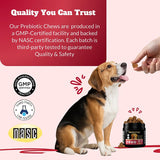 Dog Probiotics Chews Supplement – Digestive Support & Gut Health for Dogs, Helps Loose Stool, Gas & Sensitive Stomachs, Supports Itchy Skin, Allergy & Immune Health – 120 Ct