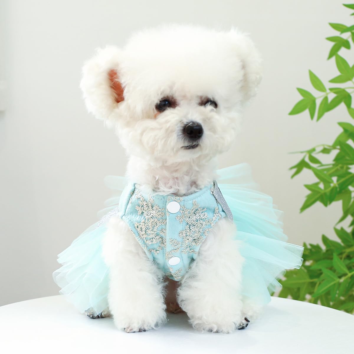 Furbabycare® Fashion Sweet Puppy Dog Autumn and Winter Princess Skirt Pet Dog Lace Cake Camisole Tutu Dress J-Blue X-Small