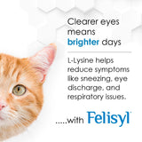 Felisyl L-Lysine Granules for Cats 100g (3.5 oz, 310 Servings) – Supports Immune, Respiratory, and Eye Health. Eases Sneezing, Runny Nose, and Watery Eyes. Tasty Salmon Flavor - Made in The USA
