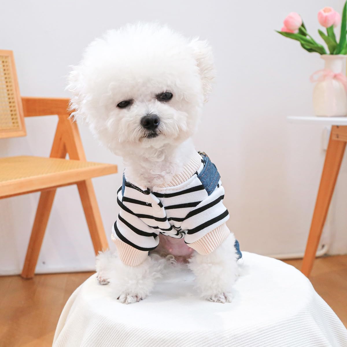 Dog Denim Overalls Puppy Cute Striped Four Legs Shirt Clothes Small Dogs Girl Boy Jean Jumpsuit Coats Dog Cat Classic Denim Costume Chihuahua Yorkie Clothes Christmas Holiday Birthday Outfits