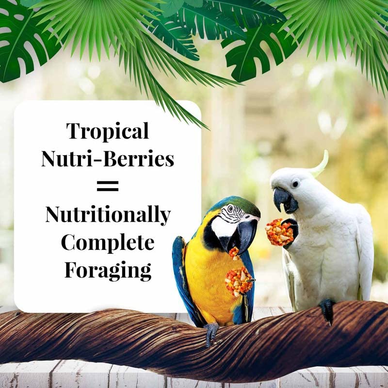 LAFEBER'S Tropical Fruit Nutri-Berries Pet Bird Food, Made with Non-GMO and Human-Grade Ingredients, for Macaws (10 Ounce Pack of 2)