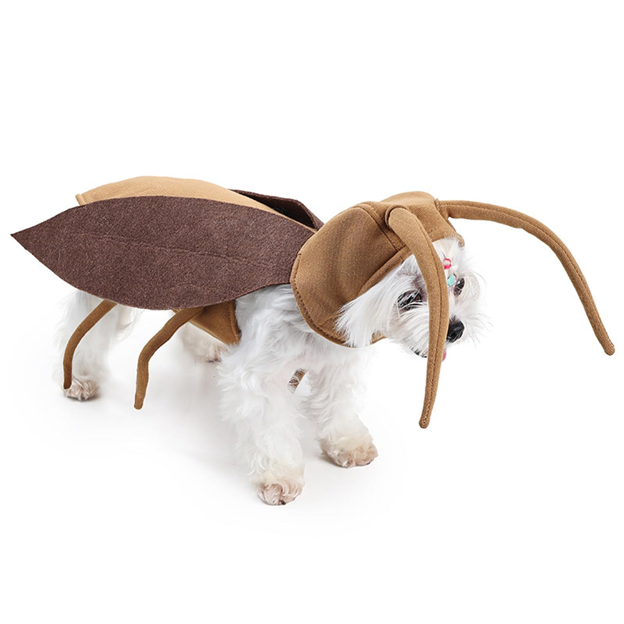 LyssKMK Halloween Puppy Cat Costume Dog Cockroach Shaped Outfits Pet Festival Cosplay Apparel for Small Dogs Cats