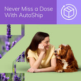 Zenrelia (ilunocitinib Tablets) | Once Daily Prescription Itch Relief for Dogs | 15 mg mg (30 Count)