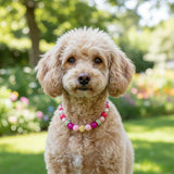 Dog Collar Necklace - Chunky Beads (20mm) with Candy Charm Pet Collar | Adjustable Sparkling Pet Jewelry Accessory for Small/Large Dogs, Daily Wear & Costume Parties