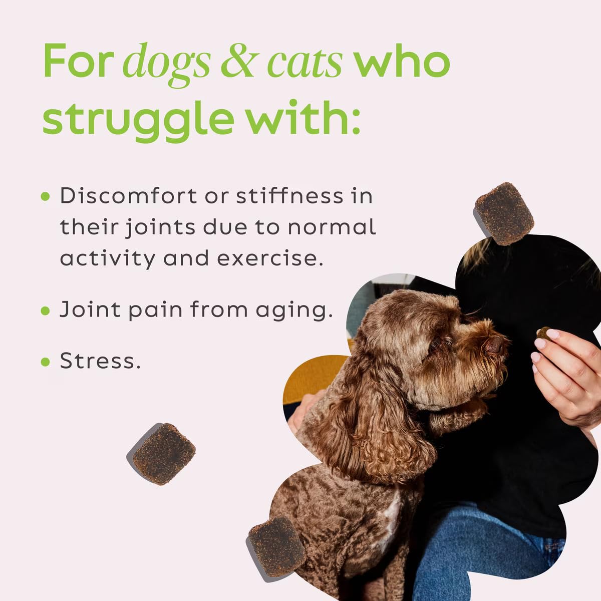 Super Snouts Hemp & Joint Chew for Dogs & Cats, 30 Chews (Up to 60 servings) – Made in USA Hip & Joint Supplement with Green Lipped Mussels, Hemp Helps Calms Joint Inflammation & Relief Joint Pain