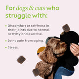 Super Snouts Hemp & Joint Chew for Dogs & Cats, 30 Chews (Up to 60 servings) – Made in USA Hip & Joint Supplement with Green Lipped Mussels, Hemp Helps Calms Joint Inflammation & Relief Joint Pain
