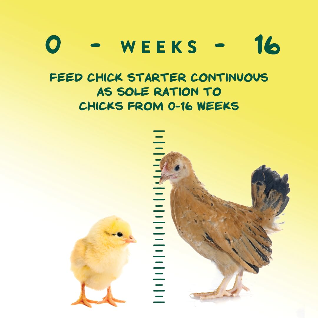 Manna Pro Medicated Chick Starter Grower, Crumbled Chick Feed with Amprolium, Complete Nutrition for Young Chickens, Supports Healthy Growth and Coccidiosis Prevention, 6-Pack of 5 lb Bags