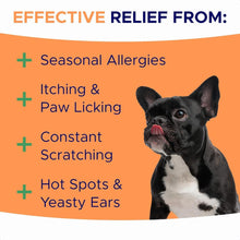Load image into Gallery viewer, Dog Allergy Relief Chews — Anti-Itch Skin &amp; Coat Supplement: No Fillers, Just Flavor - Itchy Skin Relief Treatment w/Omega 3 Fish Oil - Itching&amp;Paw Licking - Dry Skin&amp;Hot Spots - BBQ Chicken
