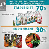 Hari Hagen Tropimix Enrichment Food for Small Parrots, 20 lb. (9.07 kg) - HARI Small Parrot Food with Seeds, Fruit, Nuts, Vegetables, Grains, and Legumes
