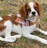 Plaid Bandana Personalized, Embroidered, Buffalo Plaid, Custom Pet Neckwear