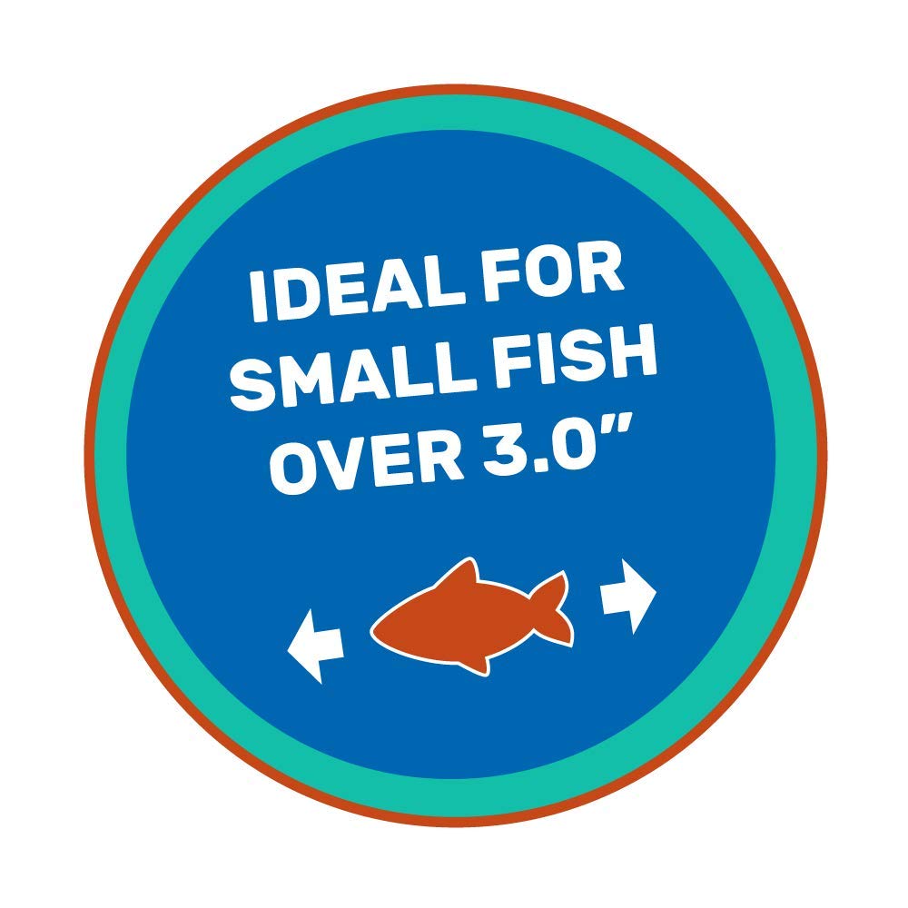 Hikari 2.2-Pound Sinking Cichlid Gold Pellets for Pets, Mini