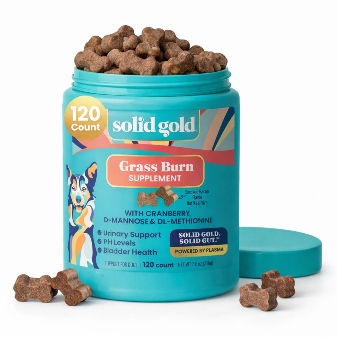 Solid Gold Dog Pee Grass Repair Chews - Dog Urine Neutralizer for Lawn w/Urinary Tract, Kidney, Bladder & pH Support to Reduce Grass Pee Spots & Burn - Pet Urine Neutralizer Treats - Bacon - 120ct