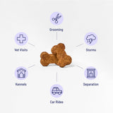 ElleVet Calming Chews for Dogs – Situational Stress Support – Calm & Comfort for Separation, Fireworks, Vet Visits & Storms – Made in USA – 4-Ct Tin