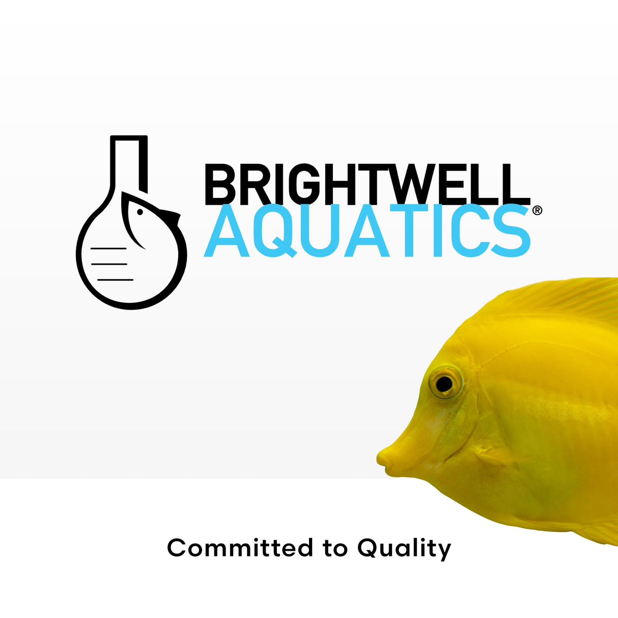 Brightwell Aquatics - Alkalin8.3 Concentrated KH Buffer Supplement - for All Marine Fish and Reef Aquaria - Aquarium Water Treatments, 17 fl oz