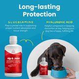 Paramount Pet Health Liquid Glucosamine for Dogs, 1600mg Glucosamine Chondroitin MSM, Hip & Joint Supplement for Large Dogs, Liquid Arthritis Relief & Mobility Support, 32 oz