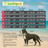 LovinPet Dog Pajamas for Large Dogs Boy,Pet Anxiety Relief PJ's,Uv Protection Pet Tshirt,Dog Comfy Stretchy Fabric,Mint Floral Print, Pullover Pitbull Clothes for All Seasons,Medium