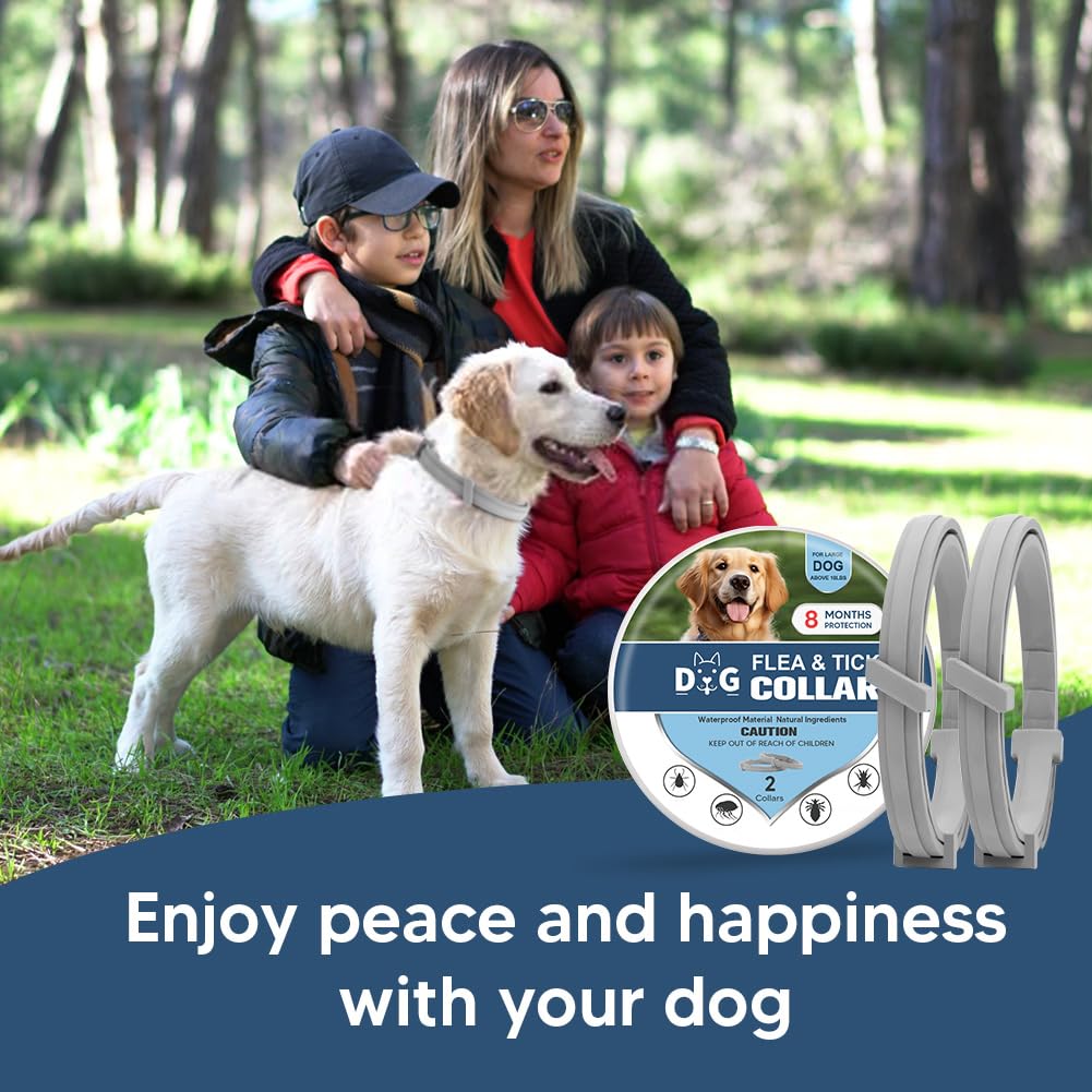 NJKPUYT Flea Collar for Dogs, Tick Collars for Dogs, Dog Fleas Collar, 8-Month Protection,Safe Repellent for Fleas, Ticks & Mosquitoes,Fits Small, Medium & Large Dog-2P
