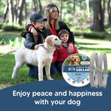 NJKPUYT Flea Collar for Dogs, Tick Collars for Dogs, Dog Fleas Collar, 8-Month Protection,Safe Repellent for Fleas, Ticks & Mosquitoes,Fits Small, Medium & Large Dog-2P