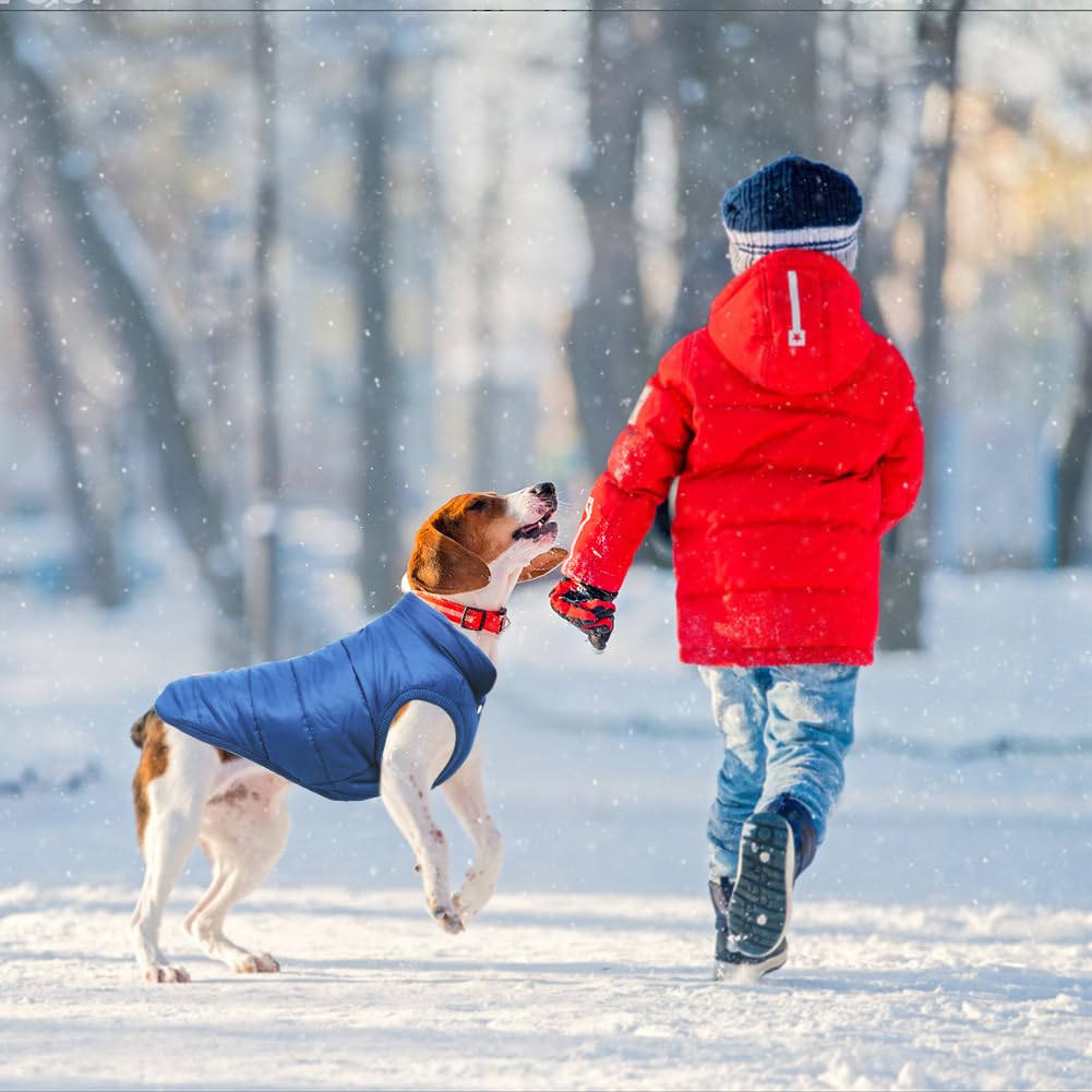 TQFlow Warm Dog Coat, Windproof Dog Jacket Fleece Pet Winter Coats Solid Color Dogs Clothes Cold Weather Pet Jacket Vest Soft Puppy Apparel for Small Medium Dogs Cat (XL, Blue)