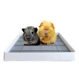 PODOO Rabbit Litter Box – Training Potty Tray for Guinea Pig & Small Pets · Spacious Grid Pan with Low Entrance, Easy-Clean & Odor-Resistant—Helps Keep a Clean Cage and Reduce Mess
