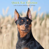 POPETPOP 2 Sets Dog Ear Posting Kit - Doberman Ear Stand Up Tool with Tape, Dog Ear Stand Up Support Tool for Doberman Pinscher Dog Ears Sticker Up