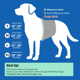 ZLX Dog Life Jacket, High Buoyancy Dog Life Vest with Secure Handle, Ripstop Lifejacket for Swimming, Boating, Water Safety, Adjustable Lightweight Floating Pet Preserver, Small, Orange