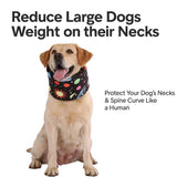 LovinPet Dog Recovery Collar, Adjustable Soft Cone for Medium & Large Dogs, Post-Surgery Comfort & Lick Prevention, Interstellar Black Print,Black