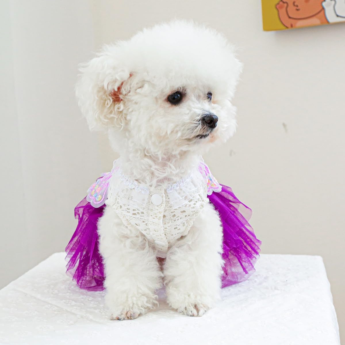 Dog Fairy Costume with Butterfly Wings, Cat Princess Dress for Small Dogs Girls, White Lace Knit Top and Purple Tulle Skirt, Fairy Wings for Dogs Halloween Outfit 14.3-17.6lbs (Purple,XL)