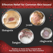 Load image into Gallery viewer, Petazy 2% Chlorhexidine Wipes for Dogs 3X Larger | Yeast Infection Ringworm Fungus Hot Spot Itch Relief | Medicated Antibacterial Antifungal Gentle Soothing Topical Wipes for Dog Cat | 50 Wipes 5x6
