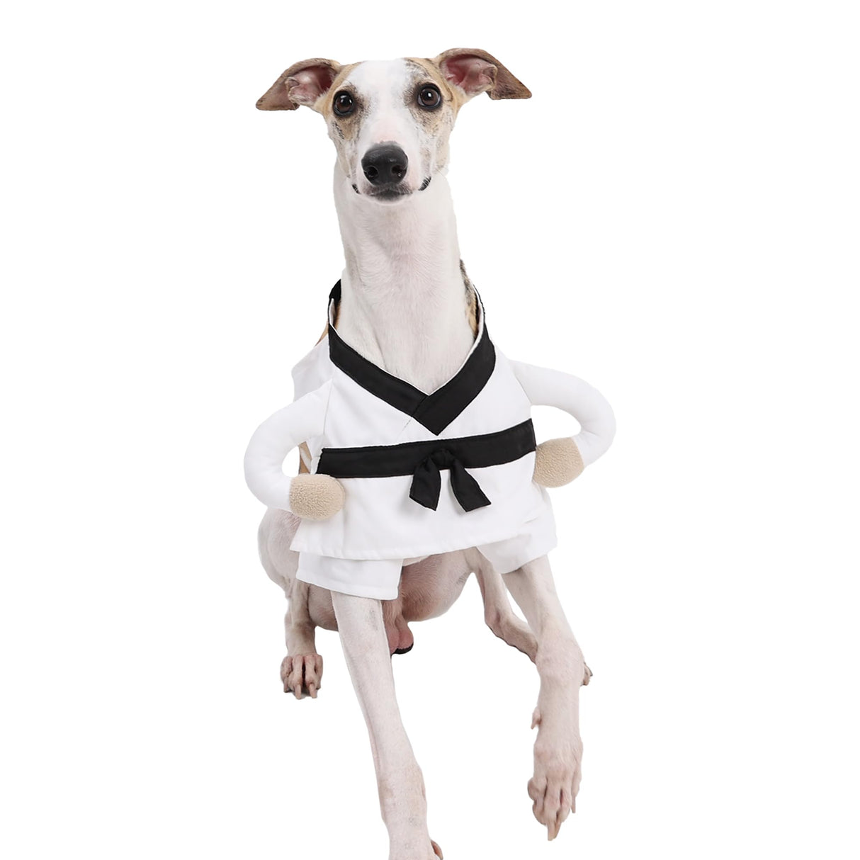 ETIAL Martial Arts Pet Costume for Halloween - Karate Uniform with Adjustable Self-Adhesive Strap for Dogs & Cats - Funny Animal Costume Easy On/Off M
