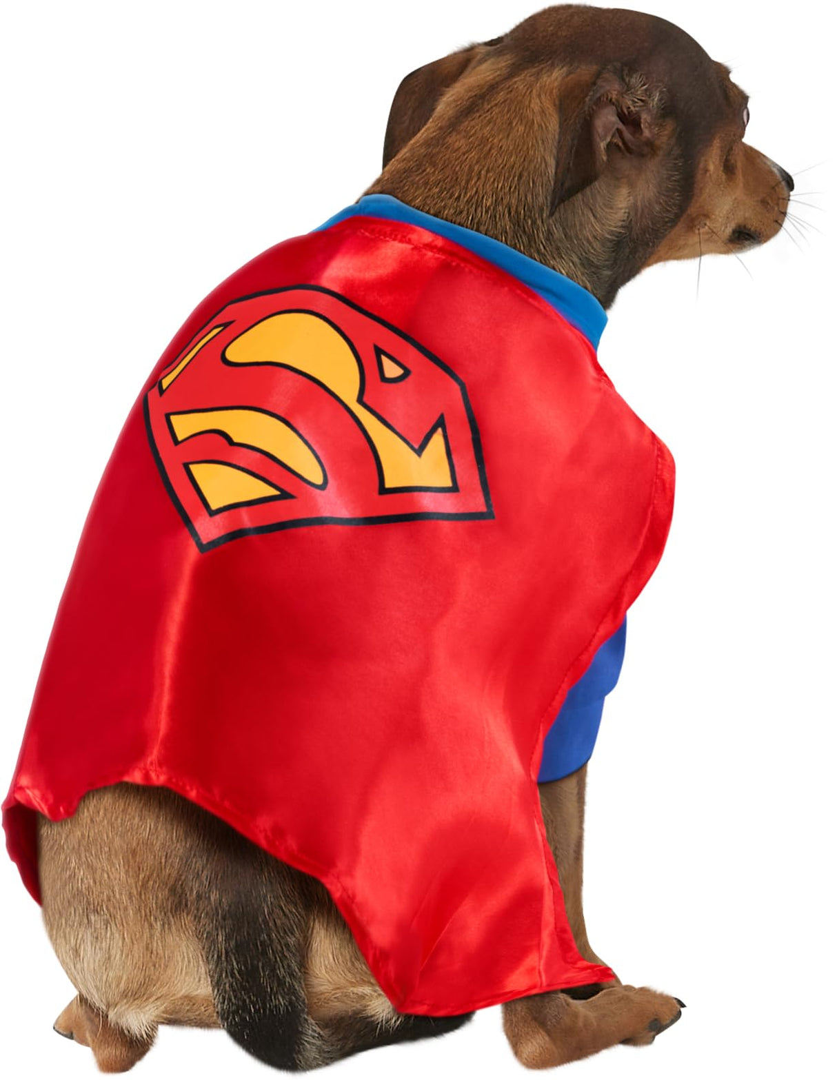 DC Comics Superheroes: Superman Pet Costume for For Dogs or Cats by Rubies, XL