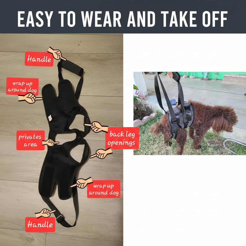 BARDIMIES Dog Lift Harness for Back Legs–Sturdy Dog Support Sling–Hip Sling Carrier for Large Medium Canine, Stair Helper for Aid Old Ligament Rehabilitation Pet, Grey,S